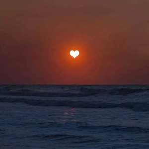 婚闹上新娘未删减版在线观看
