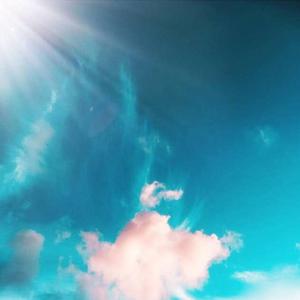 婚闹上新娘未删减版在线观看
