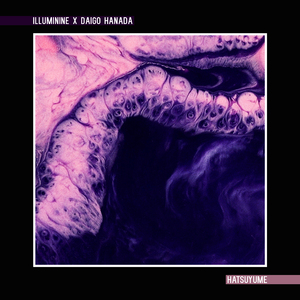 婚闹上新娘未删减版在线观看
